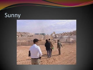 Sunny
 