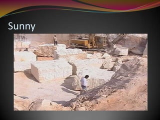 Sunny
 