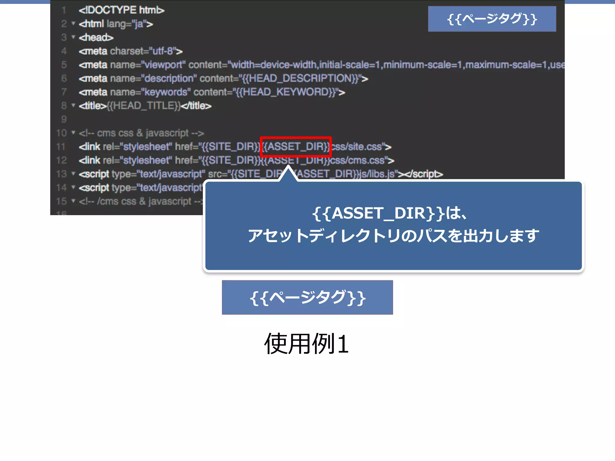 {{ページタグ}}
{{ASSET_DIR}}は、 
アセットディレクトリのパスを出⼒します
使⽤例1
{{ページタグ}}
 