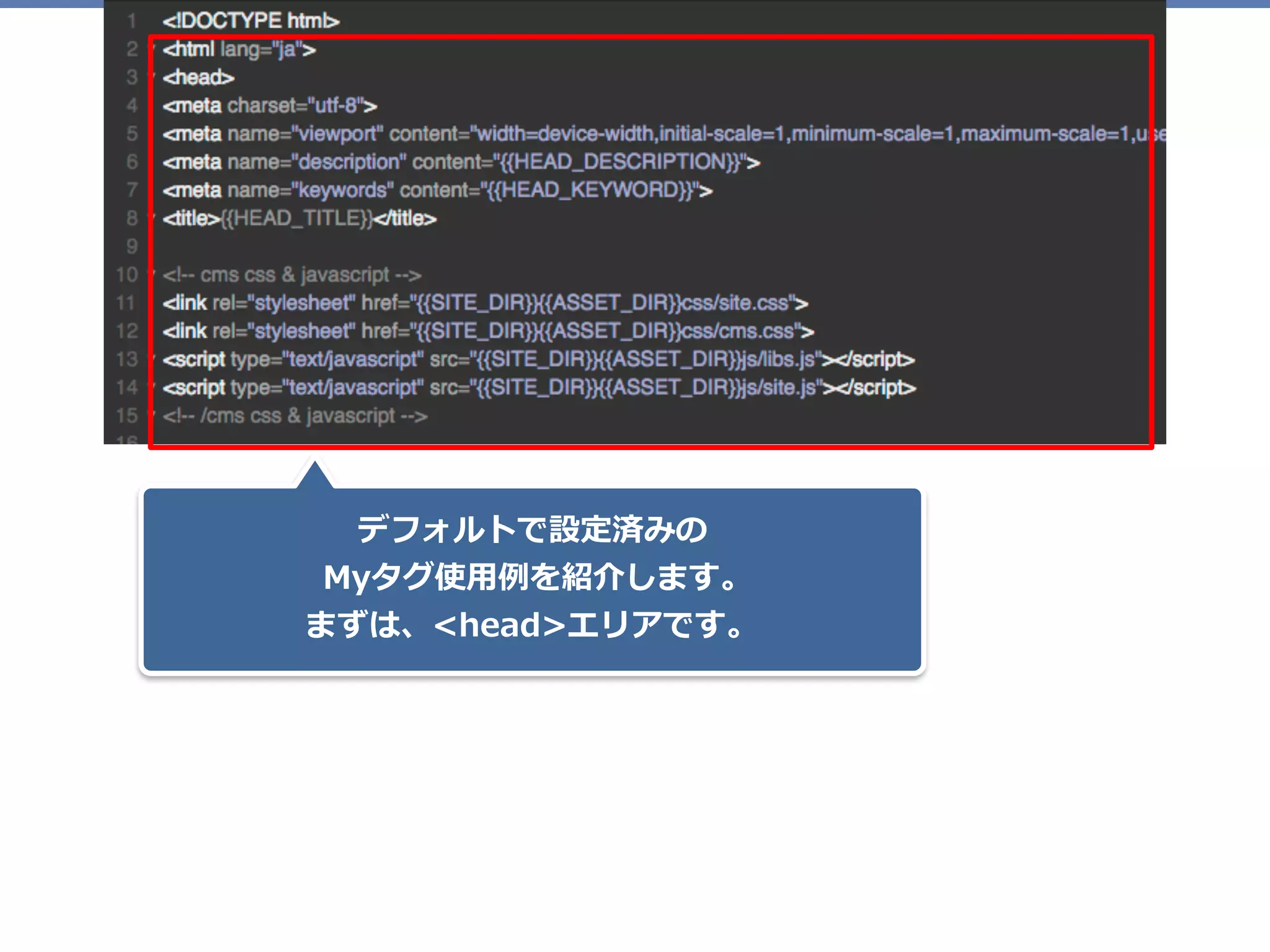 デフォルトで設定済みの 
Myタグ使⽤例を紹介します。  
まずは、<head>エリアです。
 