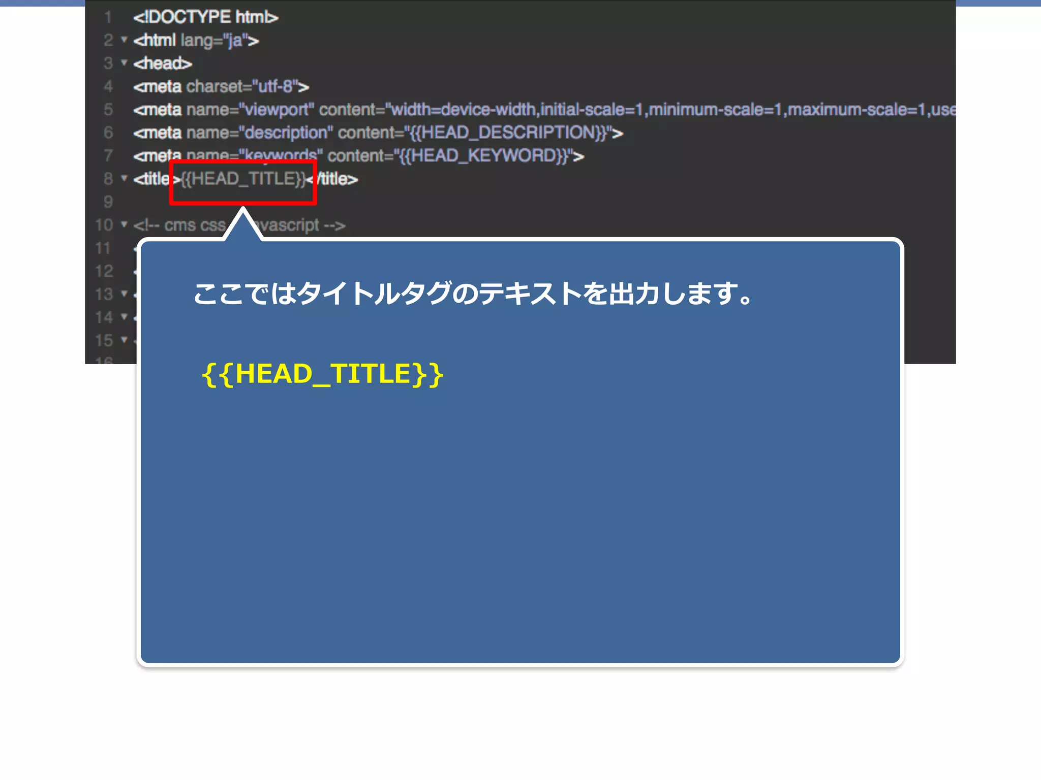 ここではタイトルタグのテキストを出⼒します。
{{HEAD_TITLE}}
 