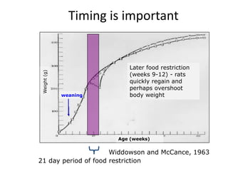 Timing is important
weaning
Weight(g)
Later food restriction
(weeks 9-12) - rats
quickly regain and
perhaps overshoot
body weight
Age (weeks)
Widdowson and McCance, 1963
21 day period of food restriction
 