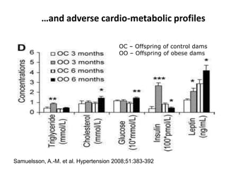 …and adverse cardio-metabolic profiles
Samuelsson, A.-M. et al. Hypertension 2008;51:383-392
OC – Offspring of control dams
OO – Offspring of obese dams
 