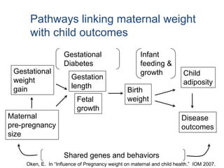 Pathways linking maternal weight
with child outcomes
Maternal
pre-pregnancy
size
Gestational
weight
gain
Child
adiposity
Birth
weight
Disease
outcomes
Fetal
growth
Gestation
length
Shared genes and behaviors
Gestational
Diabetes
Infant
feeding &
growth
Oken, E. In “Influence of Pregnancy weight on maternal and child health.” IOM 2007.
 