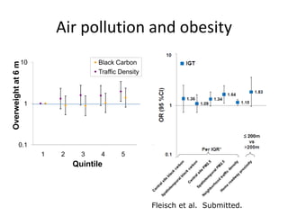 Air pollution and obesity
Fleisch et al. Submitted.
Fleisc
h
Et
al
0.1
1
10
1 2 3 4 5
Black Carbon
Traffic Density
Quintile
Overweightat6m
 