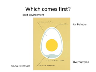 Built environment
Air Pollution
Social stressors
Overnutrition
Which comes first?
 