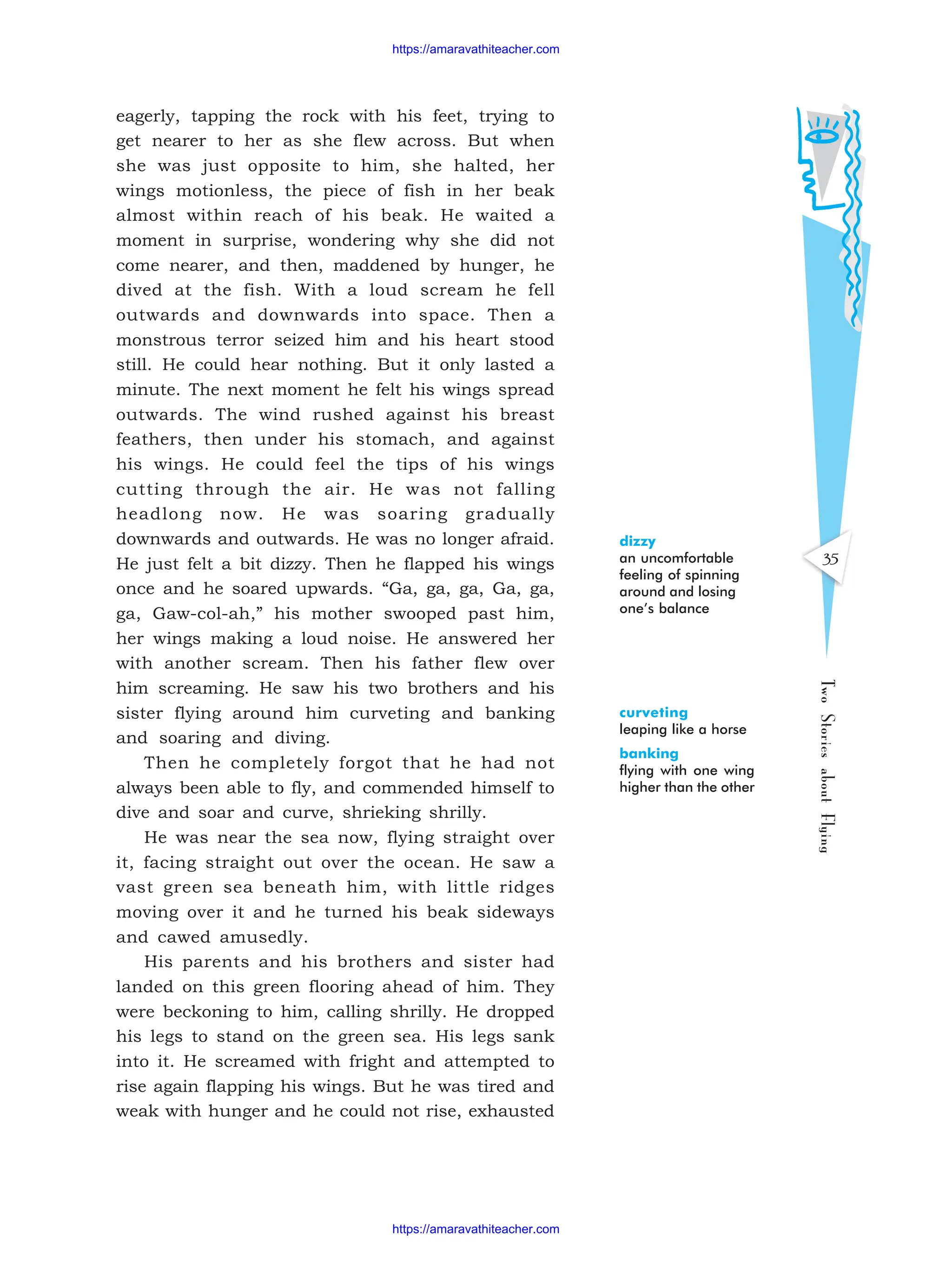 35
Two
Stories
about
Flying
eagerly, tapping the rock with his feet, trying to
get nearer to her as she flew across. But when
she was just opposite to him, she halted, her
wings motionless, the piece of fish in her beak
almost within reach of his beak. He waited a
moment in surprise, wondering why she did not
come nearer, and then, maddened by hunger, he
dived at the fish. With a loud scream he fell
outwards and downwards into space. Then a
monstrous terror seized him and his heart stood
still. He could hear nothing. But it only lasted a
minute. The next moment he felt his wings spread
outwards. The wind rushed against his breast
feathers, then under his stomach, and against
his wings. He could feel the tips of his wings
cutting through the air. He was not falling
headlong now. He was soaring gradually
downwards and outwards. He was no longer afraid.
He just felt a bit dizzy. Then he flapped his wings
once and he soared upwards. “Ga, ga, ga, Ga, ga,
ga, Gaw-col-ah,” his mother swooped past him,
her wings making a loud noise. He answered her
with another scream. Then his father flew over
him screaming. He saw his two brothers and his
sister flying around him curveting and banking
and soaring and diving.
Then he completely forgot that he had not
always been able to fly, and commended himself to
dive and soar and curve, shrieking shrilly.
He was near the sea now, flying straight over
it, facing straight out over the ocean. He saw a
vast green sea beneath him, with little ridges
moving over it and he turned his beak sideways
and cawed amusedly.
His parents and his brothers and sister had
landed on this green flooring ahead of him. They
were beckoning to him, calling shrilly. He dropped
his legs to stand on the green sea. His legs sank
into it. He screamed with fright and attempted to
rise again flapping his wings. But he was tired and
weak with hunger and he could not rise, exhausted
dizzy
an uncomfortable
feeling of spinning
around and losing
one’s balance
curveting
leaping like a horse
banking
flying with one wing
higher than the other
https://amaravathiteacher.com
https://amaravathiteacher.com
 