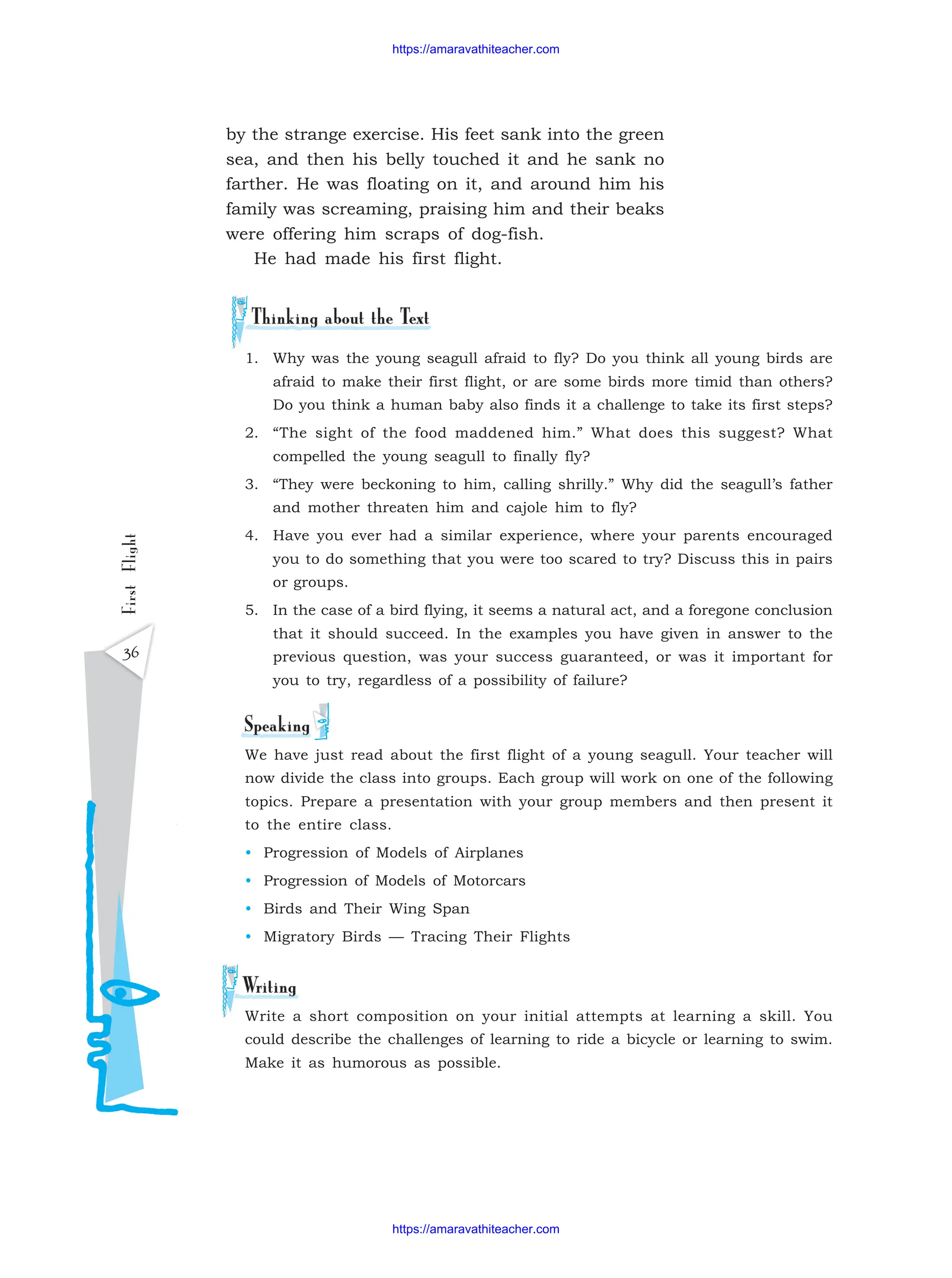 36
First
Flight
1. Why was the young seagull afraid to fly? Do you think all young birds are
afraid to make their first flight, or are some birds more timid than others?
Do you think a human baby also finds it a challenge to take its first steps?
2. “The sight of the food maddened him.” What does this suggest? What
compelled the young seagull to finally fly?
3. “They were beckoning to him, calling shrilly.” Why did the seagull’s father
and mother threaten him and cajole him to fly?
4. Have you ever had a similar experience, where your parents encouraged
you to do something that you were too scared to try? Discuss this in pairs
or groups.
5. In the case of a bird flying, it seems a natural act, and a foregone conclusion
that it should succeed. In the examples you have given in answer to the
previous question, was your success guaranteed, or was it important for
you to try, regardless of a possibility of failure?
We have just read about the first flight of a young seagull. Your teacher will
now divide the class into groups. Each group will work on one of the following
topics. Prepare a presentation with your group members and then present it
to the entire class.
• Progression of Models of Airplanes
• Progression of Models of Motorcars
• Birds and Their Wing Span
• Migratory Birds — Tracing Their Flights
Write a short composition on your initial attempts at learning a skill. You
could describe the challenges of learning to ride a bicycle or learning to swim.
Make it as humorous as possible.
by the strange exercise. His feet sank into the green
sea, and then his belly touched it and he sank no
farther. He was floating on it, and around him his
family was screaming, praising him and their beaks
were offering him scraps of dog-fish.
He had made his first flight.
https://amaravathiteacher.com
https://amaravathiteacher.com
 