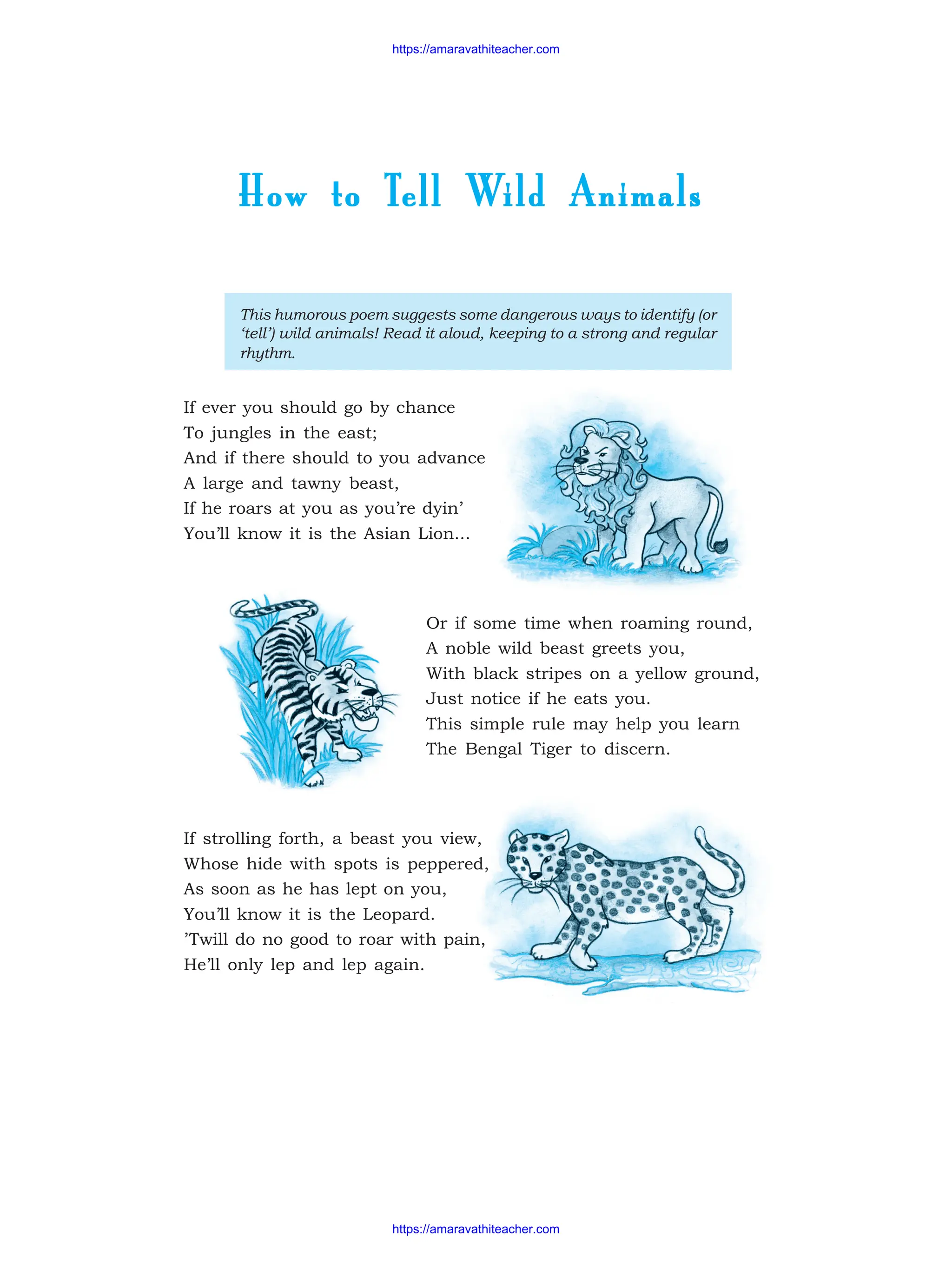 How to T
How to T
How to T
How to T
How to Tell W
ell W
ell W
ell W
ell Wild Animals
ild Animals
ild Animals
ild Animals
ild Animals
This humorous poem suggests some dangerous ways to identify (or
‘tell’) wild animals! Read it aloud, keeping to a strong and regular
rhythm.
If ever you should go by chance
To jungles in the east;
And if there should to you advance
A large and tawny beast,
If he roars at you as you’re dyin’
You’ll know it is the Asian Lion...
Or if some time when roaming round,
A noble wild beast greets you,
With black stripes on a yellow ground,
Just notice if he eats you.
This simple rule may help you learn
The Bengal Tiger to discern.
If strolling forth, a beast you view,
Whose hide with spots is peppered,
As soon as he has lept on you,
You’ll know it is the Leopard.
’Twill do no good to roar with pain,
He’ll only lep and lep again.
https://amaravathiteacher.com
https://amaravathiteacher.com
 