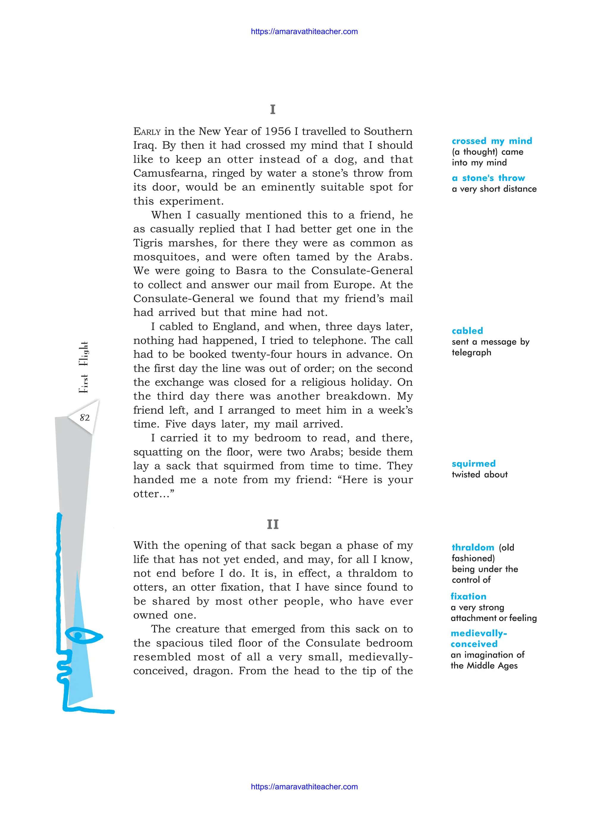 82
First
Flight
I
EARLY in the New Year of 1956 I travelled to Southern
Iraq. By then it had crossed my mind that I should
like to keep an otter instead of a dog, and that
Camusfearna, ringed by water a stone’s throw from
its door, would be an eminently suitable spot for
this experiment.
When I casually mentioned this to a friend, he
as casually replied that I had better get one in the
Tigris marshes, for there they were as common as
mosquitoes, and were often tamed by the Arabs.
We were going to Basra to the Consulate-General
to collect and answer our mail from Europe. At the
Consulate-General we found that my friend’s mail
had arrived but that mine had not.
I cabled to England, and when, three days later,
nothing had happened, I tried to telephone. The call
had to be booked twenty-four hours in advance. On
the first day the line was out of order; on the second
the exchange was closed for a religious holiday. On
the third day there was another breakdown. My
friend left, and I arranged to meet him in a week’s
time. Five days later, my mail arrived.
I carried it to my bedroom to read, and there,
squatting on the floor, were two Arabs; beside them
lay a sack that squirmed from time to time. They
handed me a note from my friend: “Here is your
otter...”
II
With the opening of that sack began a phase of my
life that has not yet ended, and may, for all I know,
not end before I do. It is, in effect, a thraldom to
otters, an otter fixation, that I have since found to
be shared by most other people, who have ever
owned one.
The creature that emerged from this sack on to
the spacious tiled floor of the Consulate bedroom
resembled most of all a very small, medievally-
conceived, dragon. From the head to the tip of the
crossed my mind
(a thought) came
into my mind
a stone's throw
a very short distance
cabled
sent a message by
telegraph
squirmed
twisted about
thraldom (old
fashioned)
being under the
control of
fixation
a very strong
attachment or feeling
medievally-
conceived
an imagination of
the Middle Ages
https://amaravathiteacher.com
https://amaravathiteacher.com
 