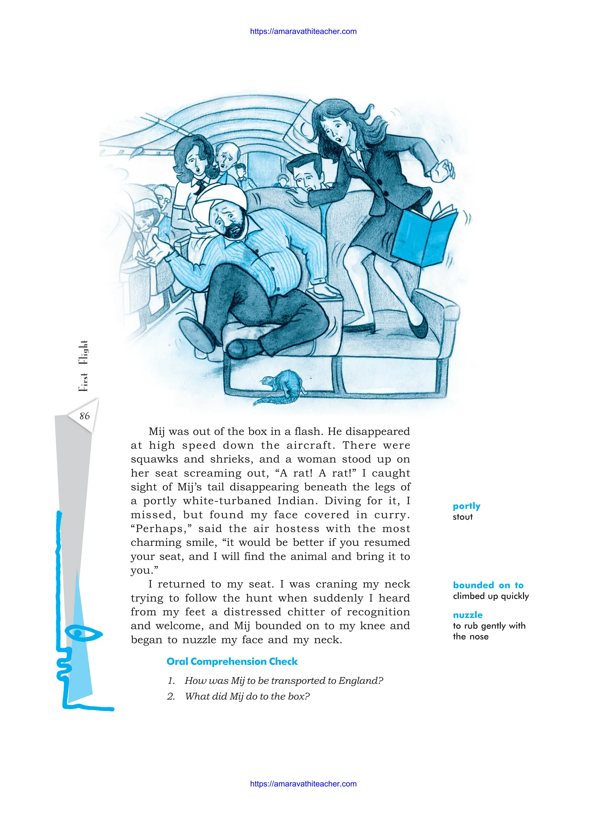86
First
Flight
Mij was out of the box in a flash. He disappeared
at high speed down the aircraft. There were
squawks and shrieks, and a woman stood up on
her seat screaming out, “A rat! A rat!” I caught
sight of Mij’s tail disappearing beneath the legs of
a portly white-turbaned Indian. Diving for it, I
missed, but found my face covered in curry.
“Perhaps,” said the air hostess with the most
charming smile, “it would be better if you resumed
your seat, and I will find the animal and bring it to
you.”
I returned to my seat. I was craning my neck
trying to follow the hunt when suddenly I heard
from my feet a distressed chitter of recognition
and welcome, and Mij bounded on to my knee and
began to nuzzle my face and my neck.
Oral Comprehension Check
1. How was Mij to be transported to England?
2. What did Mij do to the box?
portly
stout
nuzzle
to rub gently with
the nose
bounded on to
climbed up quickly
https://amaravathiteacher.com
https://amaravathiteacher.com
 