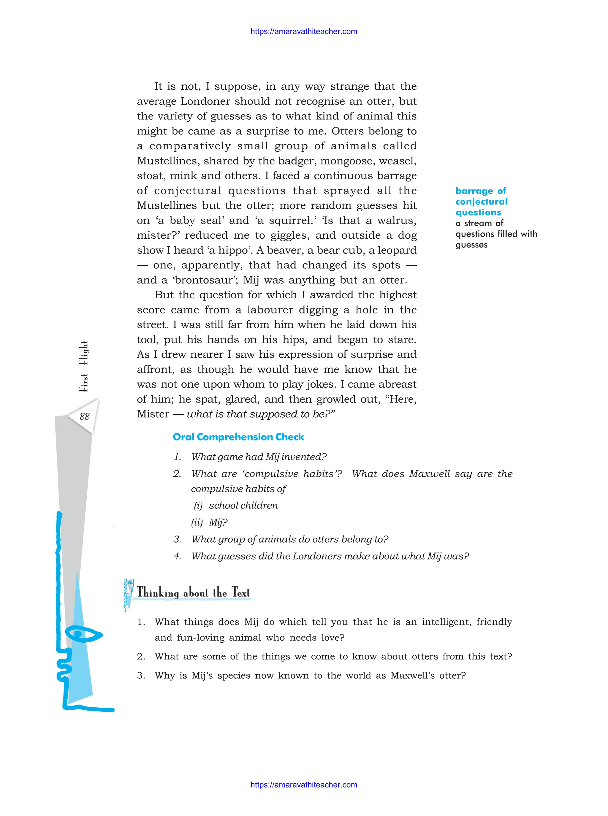 88
First
Flight It is not, I suppose, in any way strange that the
average Londoner should not recognise an otter, but
the variety of guesses as to what kind of animal this
might be came as a surprise to me. Otters belong to
a comparatively small group of animals called
Mustellines, shared by the badger, mongoose, weasel,
stoat, mink and others. I faced a continuous barrage
of conjectural questions that sprayed all the
Mustellines but the otter; more random guesses hit
on ‘a baby seal’ and ‘a squirrel.’ ‘Is that a walrus,
mister?’ reduced me to giggles, and outside a dog
show I heard ‘a hippo’. A beaver, a bear cub, a leopard
— one, apparently, that had changed its spots —
and a ‘brontosaur’; Mij was anything but an otter.
But the question for which I awarded the highest
score came from a labourer digging a hole in the
street. I was still far from him when he laid down his
tool, put his hands on his hips, and began to stare.
As I drew nearer I saw his expression of surprise and
affront, as though he would have me know that he
was not one upon whom to play jokes. I came abreast
of him; he spat, glared, and then growled out, “Here,
Mister — what is that supposed to be?”
Oral Comprehension Check
1. What game had Mij invented?
2. What are ‘compulsive habits’? What does Maxwell say are the
compulsive habits of
(i) school children
(ii) Mij?
3. What group of animals do otters belong to?
4. What guesses did the Londoners make about what Mij was?
barrage of
conjectural
questions
a stream of
questions filled with
guesses
1. What things does Mij do which tell you that he is an intelligent, friendly
and fun-loving animal who needs love?
2. What are some of the things we come to know about otters from this text?
3. Why is Mij’s species now known to the world as Maxwell’s otter?
https://amaravathiteacher.com
https://amaravathiteacher.com
 