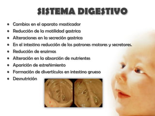 SISTEMA DIGESTIVO
•   Cambios en el aparato masticador
•   Reducción de la motilidad gastrica
•   Alteraciones en la secreción gastrica
•   En el intestino reducción de los patrones motores y secretores.
•   Reducción de enzimas
•   Alteración en la absorción de nutrientes
•   Aparición de estreñimiento
•   Formación de divertículos en intestino grueso
•   Desnutrición
 