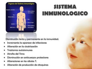 SISTEMA
                                 INMUNOLOGICO



 Disminución lenta y permanente en la inmunidad.
• Incrementa la aparean de infecciones
• Alteración en la cicatrización
• Trastornos autoinmunes
• Atrofia del Timo
• Disminución en anticuerpos protectores
• Alteraciones en las células T.
• Alteración de producción de citoquinas
 