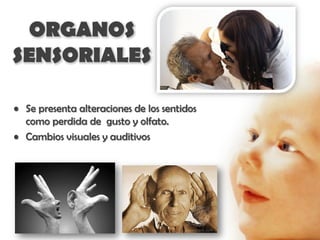 ORGANOS
SENSORIALES

• Se presenta alteraciones de los sentidos
  como perdida de gusto y olfato.
• Cambios visuales y auditivos
 