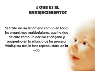 ¿ QUE ES EL
                ENVEJECIMIENTO?


Se trata de un fenómeno común en todos
los organismos multicelulares, que ha sido
   descrito como un declive endógeno y
  progresivo en la eficacia de los procesos
fisiológicos tras la fase reproductora de la
                      vida.
 