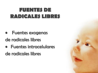 FUENTES DE
  RADICALES LIBRES

• Fuentes exogenas
de radicales libres
• Fuentes intracelulares
de radicales libres
 