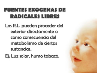 FUENTES EXOGENAS DE
  RADICALES LIBRES
Los R.L. pueden proceder del
    exterior directamente o
    como consecuencia del
    metabolismo de ciertas
    sustancias.
Ej: Luz solar, humo tabaco.
 
