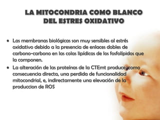 LA MITOCONDRIA COMO BLANCO
            DEL ESTRES OXIDATIVO

• Las membranas biológicas son muy sensibles al estrés
  oxidativo debido a la presencia de enlaces dobles de
  carbono-carbono en las colas lipídicas de los fosfolípidos que
  la componen.
• La alteración de las proteínas de la CTEmt produce, como
  consecuencia directa, una perdida de funcionalidad
  mitocondrial, e, indirectamente una elevación de la
  produccion de ROS
 