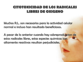CITOTOXICIDAD DE LOS RADICALES
            LIBRES DE OXIGENO


Muchos R.L. son necesarios para la actividad celular
normal e incluso han resultado beneficiosos.

A pesar de lo anterior cuando hay sobreproduccion de
estos radicales libres, estas especies quimicas tan
altamente reactivas resultan perjudiciales.
 
