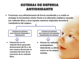 SISTEMAS DE DEFENSA
                      ANTIOXIDANTE
• Funcionan muy eficientemente de forma coordinada y su misión es
  proteger la homeostasis celular frente a la alteración oxidativa causada
  por radicales libres y otras especies reactivas originadas durante el
  metabolismo del oxigeno.


       SISTEMAS DE DEFENSA             SISTEMAS DE DEFENSA
     ANTI OXIDANTE PRIMARIOS O      ANTI OXIDANTE SECUNDARIOS
            PREVENTIVOS              ROMPEDORES DE CADENAS



 •   Interactuan con los           • Atacan los radicales
     radicales libres generados      propagadores,
     directamente del O2 y, de       deteniendo su efecto
     esta manera disminuyen la
                                     nocivo en las etapas
     velocidad del inicio de las
                                     iniciales.
     reacciones de los radicales
     libres.
 