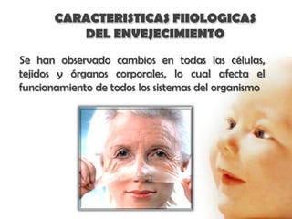 CARACTERISTICAS FIIOLOGICAS
          DEL ENVEJECIMIENTO
Se han observado cambios en todas las células,
tejidos y órganos corporales, lo cual afecta el
funcionamiento de todos los sistemas del organismo
 