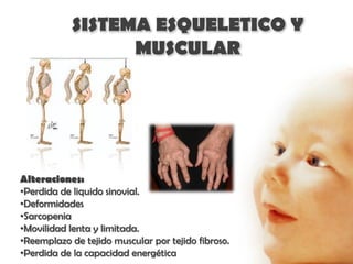 SISTEMA ESQUELETICO Y
                  MUSCULAR




Alteraciones:
•Perdida de liquido sinovial.
•Deformidades
•Sarcopenia
•Movilidad lenta y limitada.
•Reemplazo de tejido muscular por tejido fibroso.
•Perdida de la capacidad energética
 