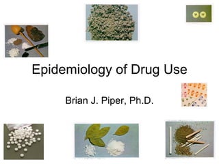 Epidemiology of Drug Use

     Brian J. Piper, Ph.D.
 