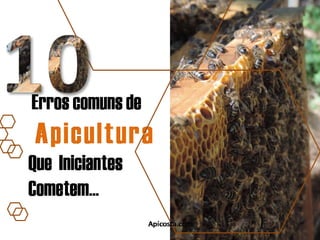 10 erros comuns de apicultura