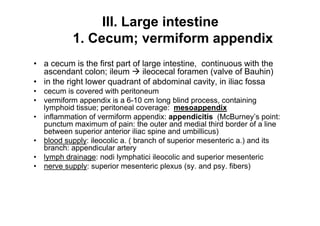 III. Large intestine
        1. Cecum; vermiform appendix
a cecum is the first part of large intestine, continuous with the
ascendant colon; ileum       ileocecal foramen (valve of Bauhin)
in the right lower quadrant of abdominal cavity, in iliac fossa
cecum is covered with peritoneum
vermiform appendix is a 6-10 cm long blind process, containing
lymphoid tissue; peritoneal coverage: mesoappendix
inflammation of vermiform appendix: appendicitis (McBurney s point:
punctum maximum of pain: the outer and medial third border of a line
between superior anterior iliac spine and umbillicus)
blood supply: ileocolic a. ( branch of superior mesenteric a.) and its
branch: appendicular artery
lymph drainage: nodi lymphatici ileocolic and superior mesenteric
nerve supply: superior mesenteric plexus (sy. and psy. fibers)



                                                                    11
 