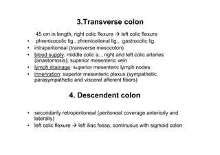 3.Transverse colon
 45 cm in length, right colic flexure     left colic flexure
 phrenicocolic lig., phrenicolienal lig., gastrocolic lig.
intraperitoneal (transverse mesocolon)
blood supply: middle colic a. , right and left colic arteries
(anastomosis); superior mesenteric vein
lymph drainage: superior mesenteric lymph nodes
innervation: superior mesenteric plexus (sympathetic,
parasympathetic and visceral afferent fibers)


                4. Descendent colon

secondarily retroperitoneal (peritoneal coverage anteriorly and
laterally)
left colic flexure left iliac fossa, continuous with sigmoid colon

                                                                     14
 