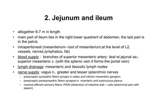 2. Jejunum and ileum
altogether 6-7 m in length
main part of ileum lies in the right lower quadrant of abdomen, the last part is
in the pelvis
intraperitoneal (mesenterium- root of mesenterium;at the level of L2,
vessels, nerves,lymphatics, fat)
blood supply : branches of superior mesenteric artery: ileal et jejunal aa.;
superior mesenteric v. (with the splenic vein it forms the portal vein)
lymph drainage: mesenteric and ileocolic lymph nodes
nerve supply: vagus n., greater and lesser splanchnic nerves
   presynaptic sympathic fibers synape in celiac and inferior mesenteric ganglion
   presynaptic parasympathic fibers synapse in myenteric and submucous plexus
   visceral afferent sensory fibers- PAIN (distension of intestine wall -- colic:abdominal pain with
   spasm)


                                                                                                 8
 