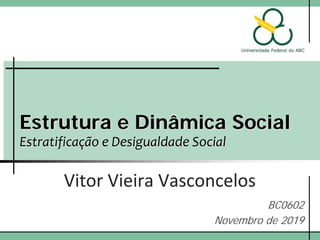 Estrutura e Dinâmica Social
Estratificação e Desigualdade Social
Vitor Vieira Vasconcelos
BC0602
Novembro de 2019
 