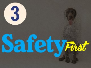 SafetyFirst
3
 