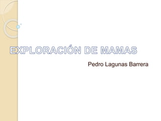 Pedro Lagunas Barrera
 