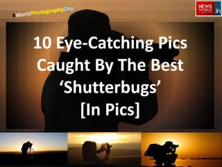 10 Eye-Catching Pics
Caught By The Best
‘Shutterbugs’
[In Pics]
 