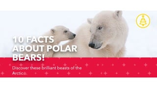 10 facts about polar bears nat geo kid.pptx