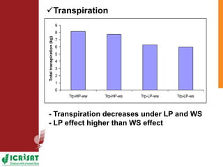 Low phosphorus and water stress tolerance in Pearl millet under lysimetre conditions