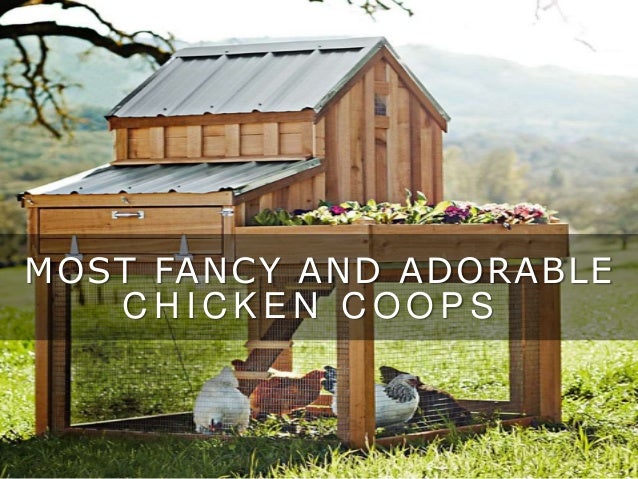 10 Fancy And Adorable Chicken Coops