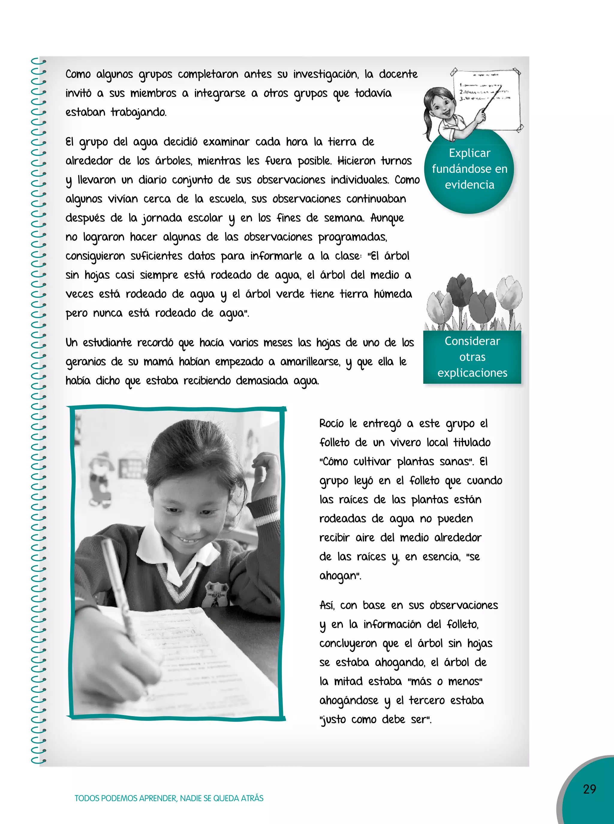 29
TODOS PODEMOS APRENDER, NADIE SE QUEDA ATRÁS
Como algunos grupos completaron antes su investigación, la docente
invitó a sus miembros a integrarse a otros grupos que todavía
estaban trabajando.
El grupo del agua decidió examinar cada hora la tierra de
alrededor de los árboles, mientras les fuera posible. Hicieron turnos
y llevaron un diario conjunto de sus observaciones individuales. Como
algunos vivían cerca de la escuela, sus observaciones continuaban
después de la jornada escolar y en los fines de semana. Aunque
no lograron hacer algunas de las observaciones programadas,
consiguieron suficientes datos para informarle a la clase: “El árbol
sin hojas casi siempre está rodeado de agua, el árbol del medio a
veces está rodeado de agua y el árbol verde tiene tierra húmeda
pero nunca está rodeado de agua”.
Un estudiante recordó que hacía varios meses las hojas de uno de los
geranios de su mamá habían empezado a amarillearse, y que ella le
había dicho que estaba recibiendo demasiada agua.
Rocío le entregó a este grupo el
folleto de un vivero local titulado
"Cómo cultivar plantas sanas". El
grupo leyó en el folleto que cuando
las raíces de las plantas están
rodeadas de agua no pueden
recibir aire del medio alrededor
de las raíces y, en esencia, “se
ahogan”.
Así, con base en sus observaciones
y en la información del folleto,
concluyeron que el árbol sin hojas
se estaba ahogando, el árbol de
la mitad estaba “más o menos”
ahogándose y el tercero estaba
“justo como debe ser”.
Explicar
fundándose en
evidencia
Considerar
otras
explicaciones
 