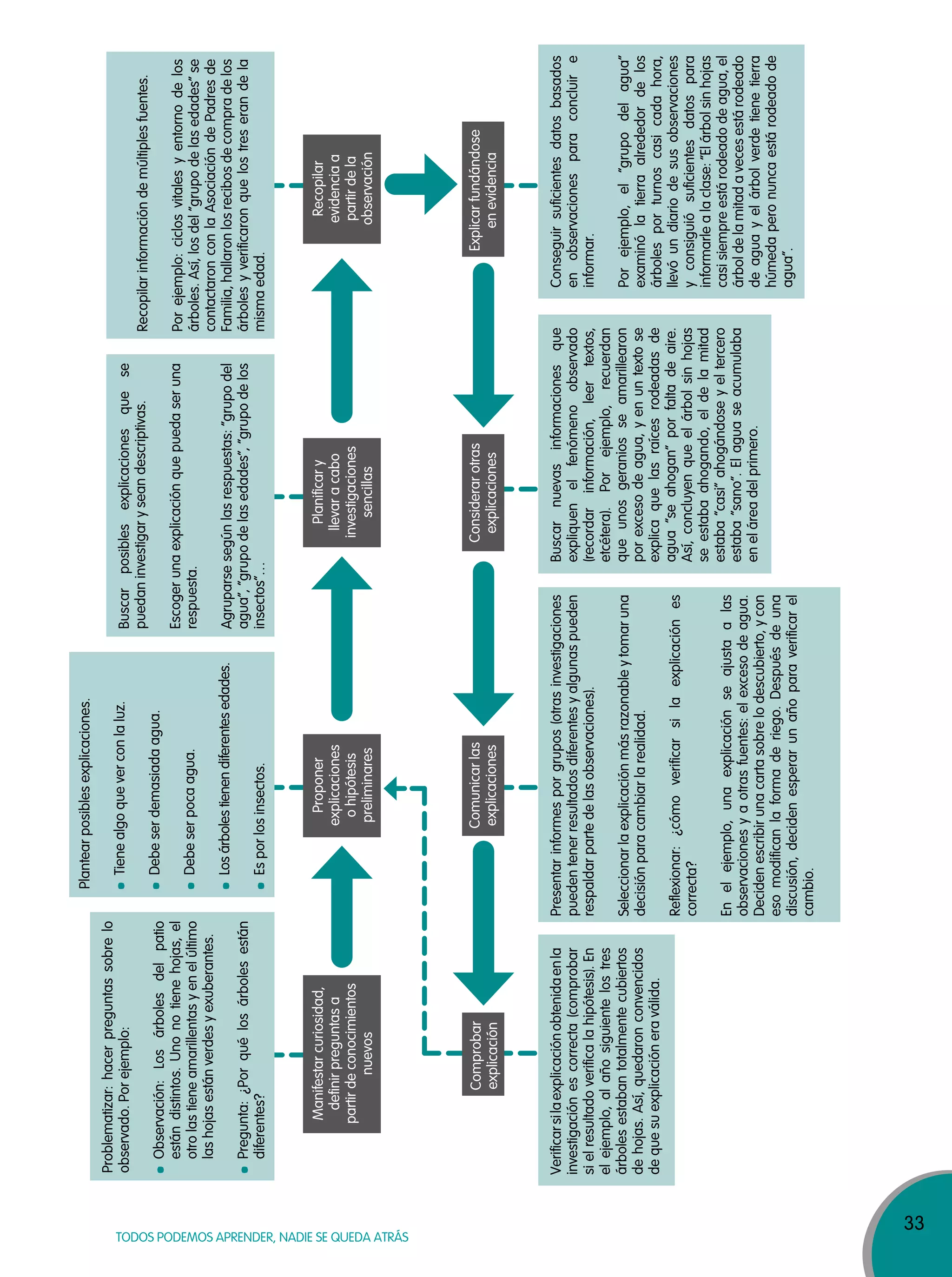 33
TODOS PODEMOS APRENDER, NADIE SE QUEDA ATRÁS
Problematizar:hacerpreguntassobrelo
observado.Porejemplo:
Observación:Losárbolesdelpatio
estándistintos.Unonotienehojas,el
otrolastieneamarillentasyenelúltimo
lashojasestánverdesyexuberantes.
Pregunta:¿Porquélosárbolesestán
diferentes?
Plantearposiblesexplicaciones.
Tienealgoqueverconlaluz.
Debeserdemasiadaagua.
Debeserpocaagua.
Losárbolestienendiferentesedades.
Esporlosinsectos.
Buscarposiblesexplicacionesquese
puedaninvestigaryseandescriptivas.
Escogerunaexplicaciónquepuedaseruna
respuesta.
Agruparsesegúnlasrespuestas:“grupodel
agua”,“grupodelasedades”,“grupodelos
insectos”…
Recopilarinformacióndemúltiplesfuentes.
Porejemplo:ciclosvitalesyentornodelos
árboles.Así,losdel“grupodelasedades”se
contactaronconlaAsociacióndePadresde
Familia,hallaronlosrecibosdecompradelos
árbolesyverificaronquelostreserandela
mismaedad.
Verificarsilaexplicaciónobtenidaenla
investigaciónescorrecta(comprobar
sielresultadoverificalahipótesis).En
elejemplo,alañosiguientelostres
árbolesestabantotalmentecubiertos
dehojas.Así,quedaronconvencidos
dequesuexplicacióneraválida.
Presentarinformesporgrupos(otrasinvestigaciones
puedentenerresultadosdiferentesyalgunaspueden
respaldarpartedelasobservaciones).
Seleccionarlaexplicaciónmásrazonableytomaruna
decisiónparacambiarlarealidad.
Reflexionar:¿cómoverificarsilaexplicaciónes
correcta?
Enelejemplo,unaexplicaciónseajustaalas
observacionesyaotrasfuentes:elexcesodeagua.
Decidenescribirunacartasobrelodescubierto,ycon
esomodificanlaformaderiego.Despuésdeuna
discusión,decidenesperarunañoparaverificarel
cambio.
Buscarnuevasinformacionesque
expliquenelfenómenoobservado
(recordarinformación,leertextos,
etcétera).Porejemplo,recuerdan
queunosgeraniosseamarillearon
porexcesodeagua,yenuntextose
explicaquelasraícesrodeadasde
agua“seahogan”porfaltadeaire.
Así,concluyenqueelárbolsinhojas
seestabaahogando,eldelamitad
estaba“casi”ahogándoseyeltercero
estaba“sano”.Elaguaseacumulaba
eneláreadelprimero.
Conseguirsuficientesdatosbasados
enobservacionesparaconcluire
informar.
Porejemplo,el“grupodelagua”
examinólatierraalrededordelos
árbolesporturnoscasicadahora,
llevóundiariodesusobservaciones
yconsiguiósuficientesdatospara
informarlealaclase:“Elárbolsinhojas
casisiempreestárodeadodeagua,el
árboldelamitadavecesestárodeado
deaguayelárbolverdetienetierra
húmedaperonuncaestárodeadode
agua”.
Manifestarcuriosidad,
definirpreguntasa
partirdeconocimientos
nuevos
Proponer
explicaciones
ohipótesis
preliminares
Planificary
llevaracabo
investigaciones
sencillas
Recopilar
evidenciaa
partirdela
observación
Comprobar
explicación
Comunicarlas
explicaciones
Considerarotras
explicaciones
Explicarfundándose
enevidencia
 