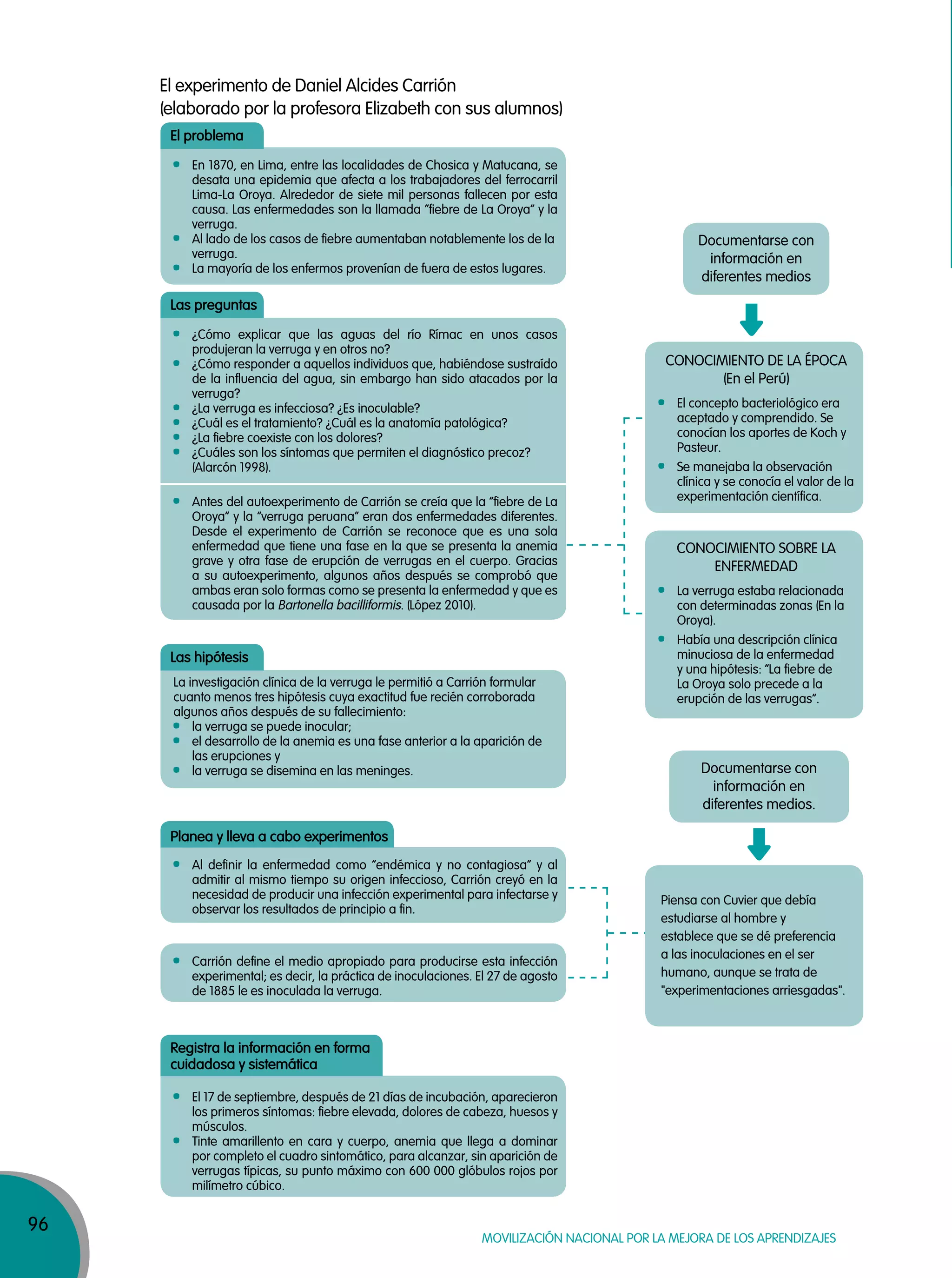 96
MOVILIZACIÓN NACIONAL POR LA MEJORA DE LOS APRENDIZAJES
Documentarse con
información en
diferentes medios
CONOCIMIENTO DE LA ÉPOCA
(En el Perú)
El concepto bacteriológico era
aceptado y comprendido. Se
conocían los aportes de Koch y
Pasteur.
Se manejaba la observación
clínica y se conocía el valor de la
experimentación científica.
CONOCIMIENTO SOBRE LA
ENFERMEDAD
La verruga estaba relacionada
con determinadas zonas (En la
Oroya).
Había una descripción clínica
minuciosa de la enfermedad
y una hipótesis: “La fiebre de
La Oroya solo precede a la
erupción de las verrugas”.
Documentarse con
información en
diferentes medios.
En 1870, en Lima, entre las localidades de Chosica y Matucana, se
desata una epidemia que afecta a los trabajadores del ferrocarril
Lima-La Oroya. Alrededor de siete mil personas fallecen por esta
causa. Las enfermedades son la llamada “fiebre de La Oroya” y la
verruga.
Al lado de los casos de fiebre aumentaban notablemente los de la
verruga.
La mayoría de los enfermos provenían de fuera de estos lugares.
El 17 de septiembre, después de 21 días de incubación, aparecieron
los primeros síntomas: fiebre elevada, dolores de cabeza, huesos y
músculos.
Tinte amarillento en cara y cuerpo, anemia que llega a dominar
por completo el cuadro sintomático, para alcanzar, sin aparición de
verrugas típicas, su punto máximo con 600 000 glóbulos rojos por
milímetro cúbico.
Carrión define el medio apropiado para producirse esta infección
experimental; es decir, la práctica de inoculaciones. El 27 de agosto
de 1885 le es inoculada la verruga.
Piensa con Cuvier que debía
estudiarse al hombre y
establece que se dé preferencia
a las inoculaciones en el ser
humano, aunque se trata de
"experimentaciones arriesgadas".
El problema
La investigación clínica de la verruga le permitió a Carrión formular
cuanto menos tres hipótesis cuya exactitud fue recién corroborada
algunos años después de su fallecimiento:
la verruga se puede inocular;
el desarrollo de la anemia es una fase anterior a la aparición de
las erupciones y
la verruga se disemina en las meninges.
Las hipótesis
Al definir la enfermedad como “endémica y no contagiosa” y al
admitir al mismo tiempo su origen infeccioso, Carrión creyó en la
necesidad de producir una infección experimental para infectarse y
observar los resultados de principio a fin.
Planea y lleva a cabo experimentos
Registra la información en forma
cuidadosa y sistemática
¿Cómo explicar que las aguas del río Rímac en unos casos
produjeran la verruga y en otros no?
¿Cómo responder a aquellos individuos que, habiéndose sustraído
de la influencia del agua, sin embargo han sido atacados por la
verruga?
¿La verruga es infecciosa? ¿Es inoculable?
¿Cuál es el tratamiento? ¿Cuál es la anatomía patológica?
¿La fiebre coexiste con los dolores?
¿Cuáles son los síntomas que permiten el diagnóstico precoz?
(Alarcón 1998).
Antes del autoexperimento de Carrión se creía que la “fiebre de La
Oroya” y la “verruga peruana” eran dos enfermedades diferentes.
Desde el experimento de Carrión se reconoce que es una sola
enfermedad que tiene una fase en la que se presenta la anemia
grave y otra fase de erupción de verrugas en el cuerpo. Gracias
a su autoexperimento, algunos años después se comprobó que
ambas eran solo formas como se presenta la enfermedad y que es
causada por la Bartonella bacilliformis. (López 2010).
Las preguntas
El experimento de Daniel Alcides Carrión
(elaborado por la profesora Elizabeth con sus alumnos)
 