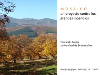 M O S A I C O
un proyecto contra los
grandes incendios
Fernando Pulido
Universidad de Extremadura
Paisajes ignífugos, Valladolid, 18-11-2022
 