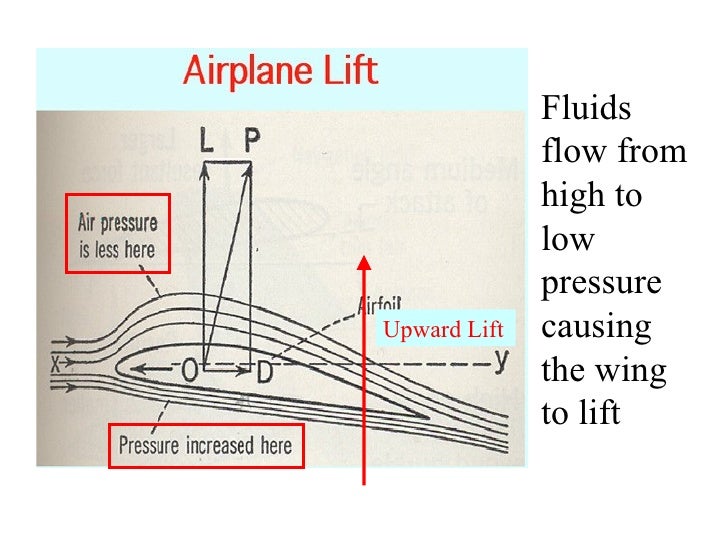 10 Fluids And Motion (Flight)