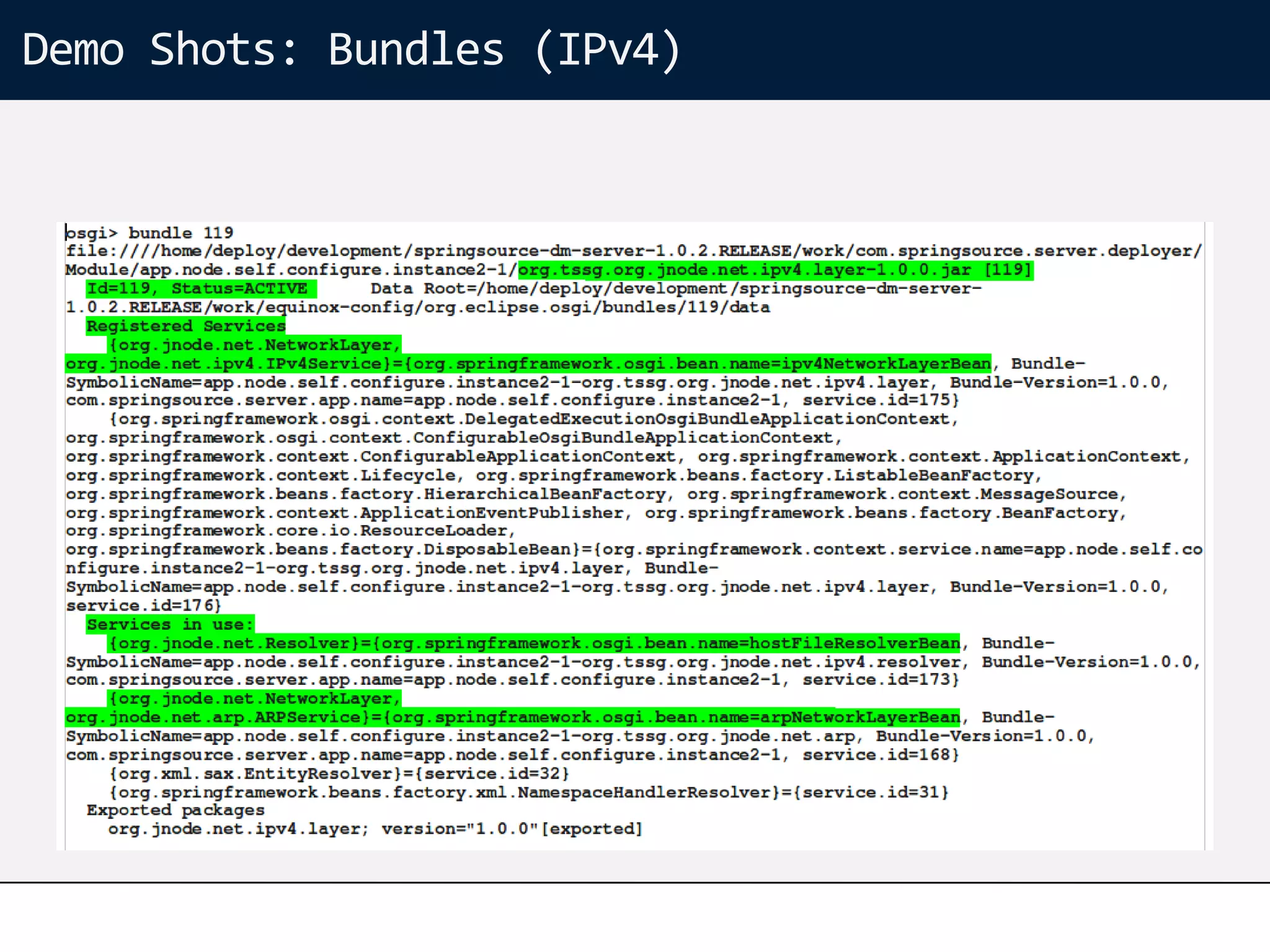 Demo Shots: Bundles (IPv4)
 