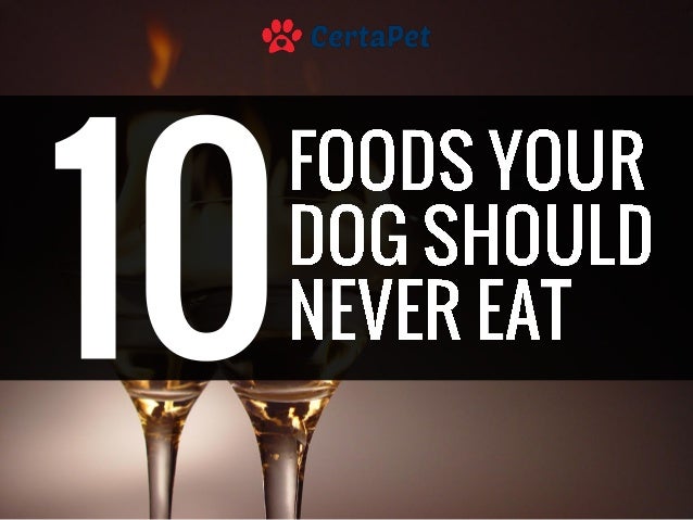 The Doctors Foods You Should Never Eat The Doctors Foods You Should Never Eat