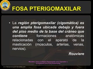 FOSA PTERIGOMAXILAR
• La región pterigomaxilar (cigomática) es
una amplia fosa ubicada debajo y fuera
del piso medio de la base del cráneo que
contiene formaciones anatómicas
relacionadas con el aparato de la
masticación (músculos, arterias, venas,
nervios).
Rouviere
Rouviere: Llama a la Región Pterigomaxilar como Cigomática y
al transfondo como Fosa Pterigomaxilar.
DAVID SUMERENTE TORRES
 
