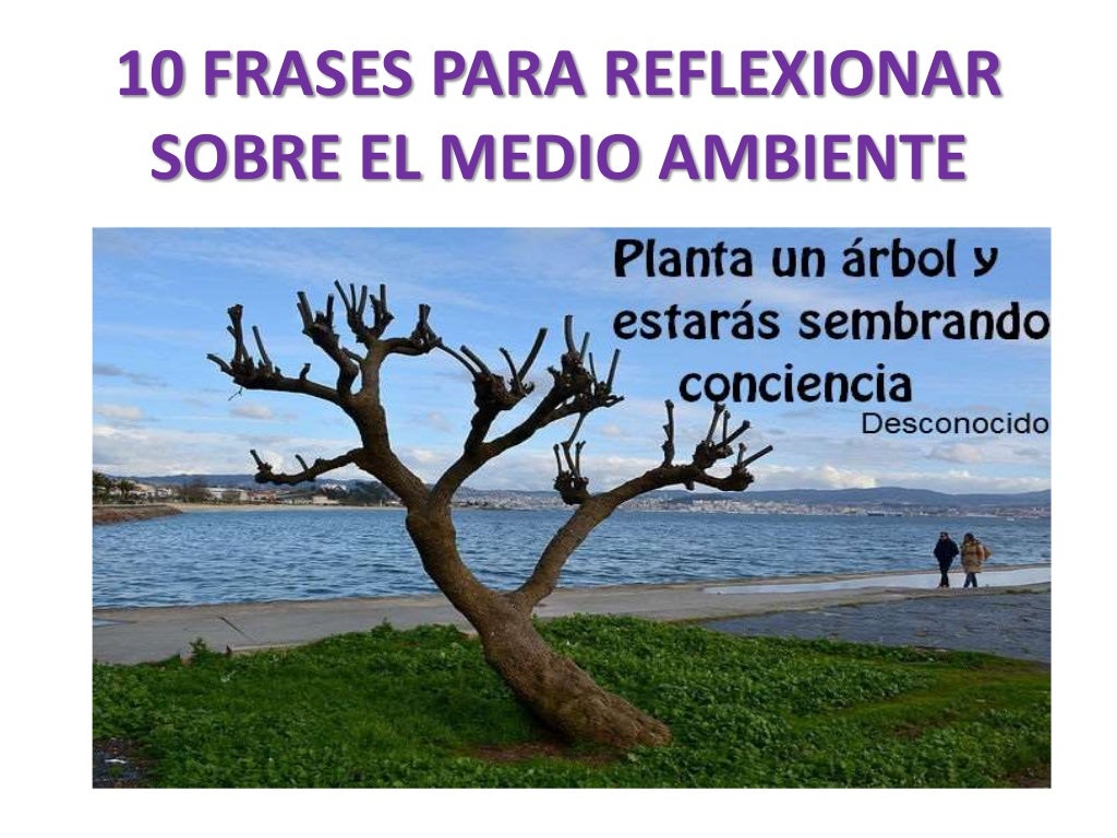 10 Frases para reflexionar sobre el medio ambiente