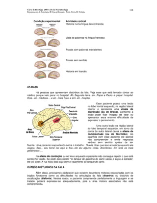 Curso de Fisiologia 2007 Ciclo de Neurofisiologia
Departamento de Fisiologia, IB Unesp-Botucatu Profa. Silvia M. Nishida
118
Condição experimental Atividade cortical
Historia numa língua desconhecida
Lista de palavras na língua francesa
Frases com palavras inexistentes
Frases sem sentido
Historia em francês
AFASIAS
Há pessoas que apresentam distúrbios da fala. Veja esse que está tentado contar ao
médico porque veio parar no hospital: Ah..Segunda feira...ah...Papai e Paulo..e..papai...hospital.
Dois...ah...médicos..., e ah...meia hora..e sim..ah...hospital.
Esse paciente possui uma lesão
no lobo frontal esquerdo, na região lateral
inferior e apresenta uma afasia de
expressão (ou de Broca). Conforme a
lesão pode ficar incapaz de falar ou
apresentar essa enorme dificuldade de
expressar o pensamento.
Uma outra lesão na região lateral
do lobo temporal esquerdo, em torno da
ponta do sulco lateral causa a afasia de
compreensão (ou de Wernicke). Ao
falarmos com esse paciente ele parece
não compreender e emite respostas
verbais sem sentido apesar de ser
fluente. Uma paciente respondendo sobre o trabalho: Queria dizer que isso aconteceu quando ele
alugou. Seu... seu boné cai aqui e fica...ele alu alguma coisa. Aconteceu. Em tese os mais
gelatinosos ....
Na afasia de condução ou no feixe arqueado o paciente não consegue repetir o que está
sendo-lhe falado. Se pedir para repetir “O tanque de gasolina do carro vazou e sujou a estrada”,
ele vai dizer: A rua ficou toda suja com o vazamento do tanque do carro.
OUTROS DISTURBIOS DA FALA
Além disso, precisamos esclarecer que existem desordens motoras relacionadas com os
órgãos fonadores como as dificuldades na articulação da fala (disartria) ou distúrbio de
vocalização (disfonia). Nestes casos, o paciente compreende perfeitamente a linguagem e se
tratado, poderá expressar-se adequadamente, pois a área motora associativa não está
comprometida.
 