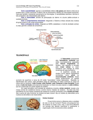 Curso de Fisiologia 2007 Ciclo de Neurofisiologia
Departamento de Fisiologia, IB Unesp-Botucatu Profa. Silvia M. Nishida
110
Com a sensibilidade: apenas a sensibilidade olfativa não passa pelo tálamo antes de se
projetar para o córtex sensorial. O tálamo não só retransmite e distribui as informações sensoriais,
mas atua também modulando previamente as informações. A sensibilidade dolorosa e térmica e
tato protopático são interpretados pelo tálamo.
Com a motricidade: através da participação do tálamo no circuito pálido-corticais e
cerebelo-corticais.
Com o comportamento emocional: integrando o Sistema Límbico através dos núcleos
do grupo anterior e do núcleo dorsomedial.
Com a ativação do córtex: integrado ao SARA, estabelece o nível de atividade cortical,
ou seja, garante o estado de consciência.
TELENCÉFALO
O Telencéfalo compreende
dois hemisférios cerebrais que
estão incompletamente separados
pela fissura longitudinal do
cérebro, cujo assoalho é formado
pelo corpo caloso (a maior
comissura que interliga as áreas
simétricas de cada hemisfério).
A superfície sulcada do
cérebro forma relevos topográficos
conhecidos como giros ou
circunvoluções cerebrais. Esses
sulcos proporcionam um grande
aumento da superfície e cerca de 2/3 estão “escondidos” nestas depressões. Baseada na
identificação dos sulcos, cada hemisfério pode ser delimitada em lobos conforme os ossos do
crânio que os recobrem: Lobo Frontal; Lobo Parietal; Lobo Temporal e Lobo Occipital. Existe
ainda o Lobo da insula, profundamente localizado no interior do sulco lateral e o Lobo Límbico,
que só é observado em cortes sagitais do cérebro.
Em cada hemisfério uma camada de substância cinzenta, córtex cerebral, reveste uma
massa central de substância branca (=centro branco medular do cérebro). Na base dos dois
hemisférios há uma massa compacta de substancia cinzenta conhecidos como núcleos da base.
Sob o ponto de vista funcional, os núcleos da base incluem não só núcleos do telencéfalo como
núcleos do diencéfalo e do mesencéfalo.
Córtex Cerebral
O que há de comum e diferente entre o encéfalo
do rato e o do ser humano? Parece uma pergunta fora
de contexto no nosso curso, mas, o que torna diferente
um primata dos demais mamíferos é justamente a
organização morfo-funcional do córtex cerebral.
 